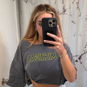 Gray and Maize Michigan Women's Crop Top Game Day Cute University of Michigan